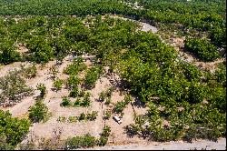 Cantaua, Parras Coahuila