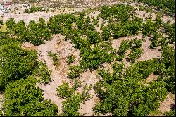 Cantaua, Parras Coahuila