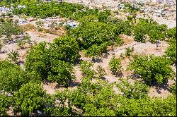 Cantaua, Parras Coahuila