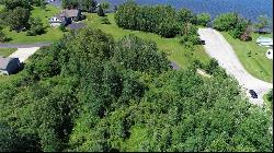 TBD Paradise Lane, Carp Lake MI 49718