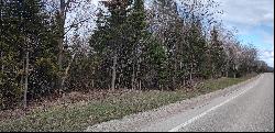 Us-23 Highway 44 acres, Cheboygan MI 49721