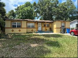 205 Lakeview Avenue, Seffner FL 33584