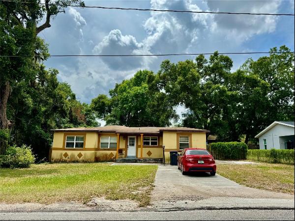 205 Lakeview Avenue, Seffner FL 33584