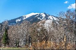 1227 Mountain View Drive, Aspen, CO 81611