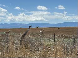 Swallows Rd, Pueblo West CO 81007