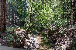 Storybook Attraction Tucked in the Redwoods