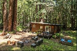 Storybook Attraction Tucked in the Redwoods