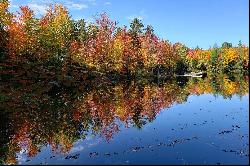 Saint-Gabriel-de-Brandon, Lanaudière