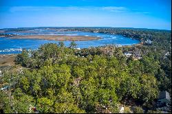 Picturesque lagoon lot with birds and draping oak tree