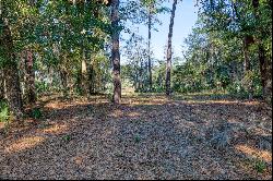 Picturesque lagoon lot with birds and draping oak tree