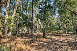 Picturesque lagoon lot with birds and draping oak tree