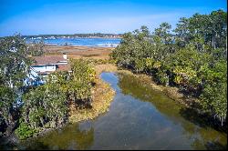 Picturesque lagoon lot with birds and draping oak tree