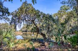 Picturesque lagoon lot with birds and draping oak tree