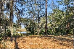 Picturesque lagoon lot with birds and draping oak tree