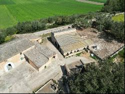 Traditional finca with several buildings for sale in Villafranca, Vilafranca de Bonany 072