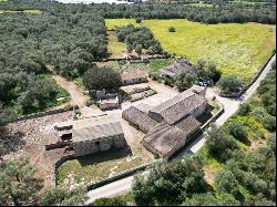 Traditional finca with several buildings for sale in Villafranca, Vilafranca de Bonany 072