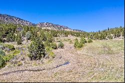 3217 Road 41, Mancos, CO 81328