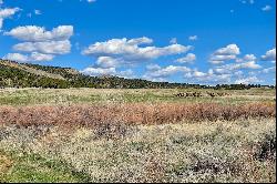 3217 Road 41, Mancos, CO 81328