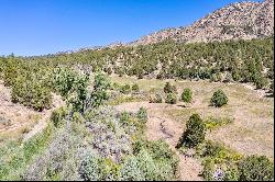 3217 Road 41, Mancos, CO 81328