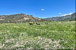 1401 Road 41, Mancos, CO 81328