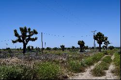 Beaver Avenue, Phelan CA 92371