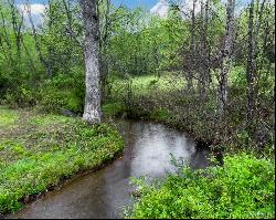 TBD Flat Creek Drive, Lake Toxaway NC 28747