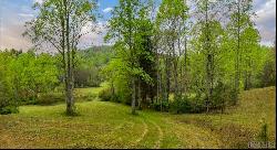 TBD Flat Creek Drive, Lake Toxaway NC 28747