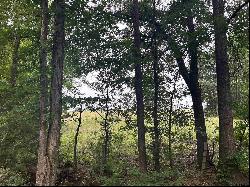 Lot 1 5+ ACRES Fm 15, Troup TX 75789