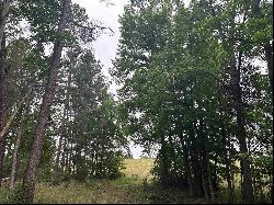 Lot 1 5+ ACRES Fm 15, Troup TX 75789