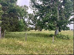 Lot 2 5.5ACRES County Road 2166, Troup TX 75789