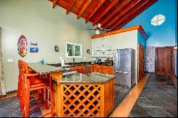 Newly Remodeled Oceanview 4 Bed/4.5 Bath Home