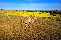 'Braemar' – Large scale mixed farming opportunity in New England region of NSW Highly pro