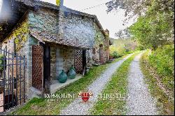 Tuscany - FORMER RESTORED MILL, AGRITURISMO FOR SALE IN VALDARNO