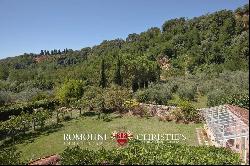 Tuscany - FORMER RESTORED MILL, AGRITURISMO FOR SALE IN VALDARNO