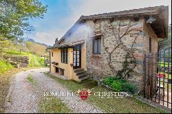 Tuscany - FORMER RESTORED MILL, AGRITURISMO FOR SALE IN VALDARNO