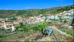 Vineyard for sale in Alto Douro Vinhateiro, Douro Valley, Portugal