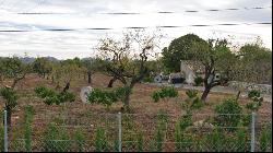 Plot for sale with building licence in Pollensa area, Mallorca, Pollença 07460