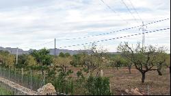 Plot for sale with building licence in Pollensa area, Mallorca, Pollença 07460