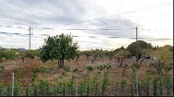 Plot for sale with building licence in Pollensa area, Mallorca, Pollença 07460