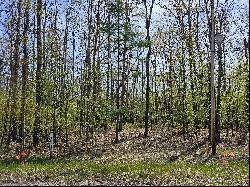 16599 Timber Line Drive, Wolverine MI 49799