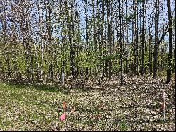 16599 Timber Line Drive, Wolverine MI 49799