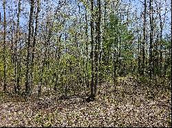 16599 Timber Line Drive, Wolverine MI 49799