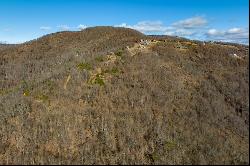 87 Acre Reflections Point Trl 30 Lots, Fancy Gap VA 24328