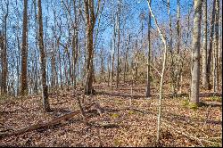 87 Acre Reflections Point Trl 30 Lots, Fancy Gap VA 24328