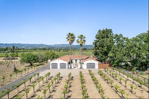 Elegant Napa Valley Villa with Vineyard