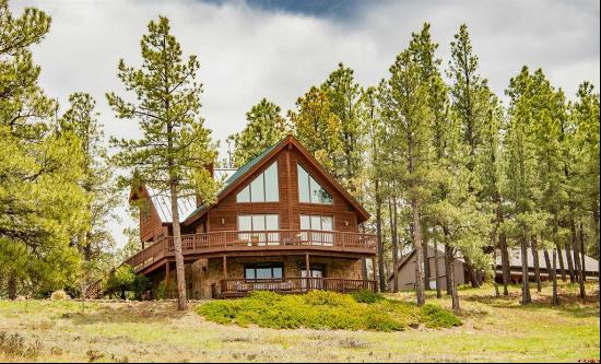 Pagosa Springs Residential