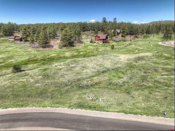 Pagosa Springs Land