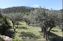 3 provençal houses set in 12 hectares of countryside