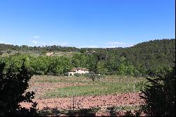 3 provencal houses set in 12 hectares of countryside