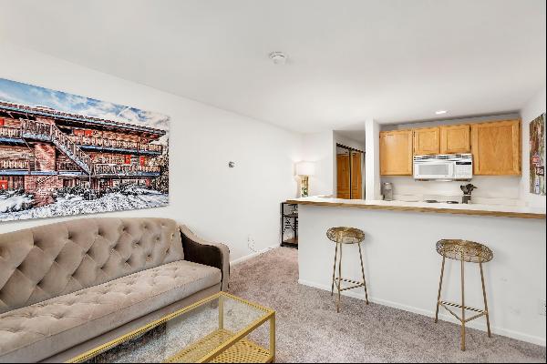 119 East Cooper Avenue Unit 24, Aspen, CO 81611